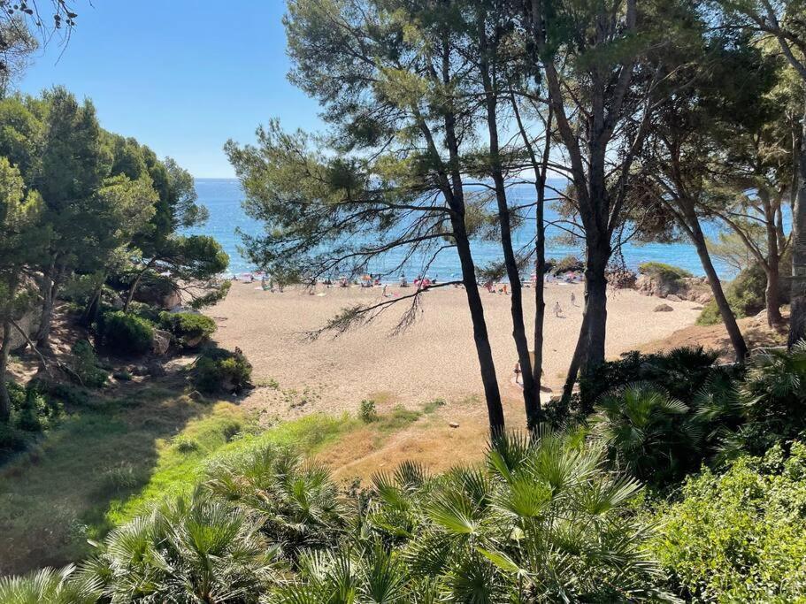 Precioso Apto Miami Primera Linia Playa Cala De Las Sirenas, Con Wifi Y Netflix, Adecuado Para Teletrabajar Miami Playa Екстер'єр фото